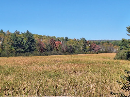 Photo of Laurier Woods Conservation Area - Brule St, North Bay, ON P1A 3Z5